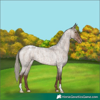 Horse Color:Liver Red Dun Roan Mushroom Varnish Brindle 