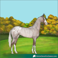 Horse Color:Liver Red Roan Mushroom Appaloosa Rabicano