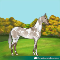Horse Color:White Spotted Liver Red Dun Mushroom Rabicano 