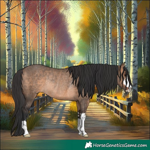 Horse Color:Brown Dun Rabicano 