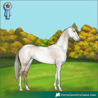 Horse Color:Gray Liver Red Dun Mushroom Tobiano