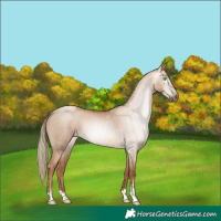Horse Color:Gray Red Dun Pearl Mushroom Rabicano 