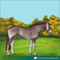 Horse Color:Platinum Chocolate Blue Onyx Rabicano 