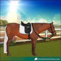 Horse Color:Silver Brown 