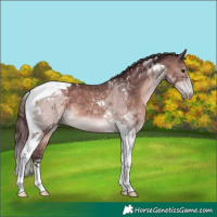 Horse Color:Platinum Chocolate Brown Tobiano 