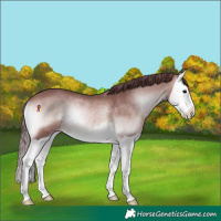 Horse Color:Platinum Chocolate Brown Onyx Splash 