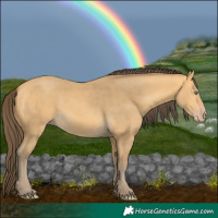 Horse Color:Amber Cream Champagne 