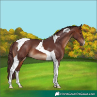 Horse Color:Chocolate Brown Tobiano 