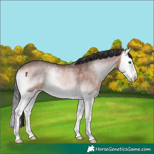 Horse Color:Platinum Bay Onyx Splash 