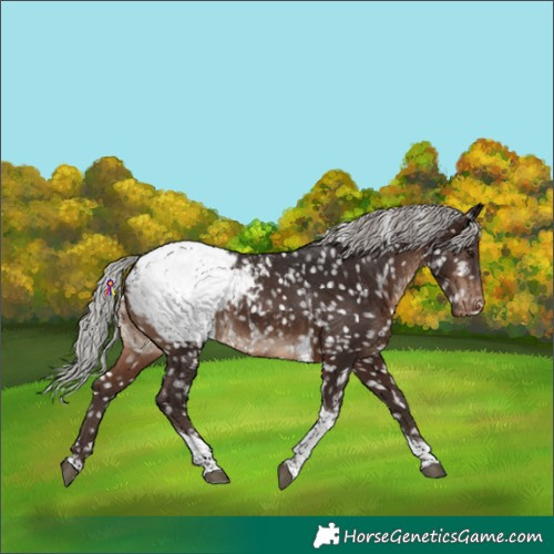 Horse Color:Silver Brown Tobiano Snowcap