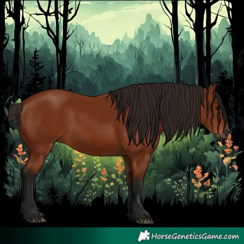 Horse Color:Gray Bay