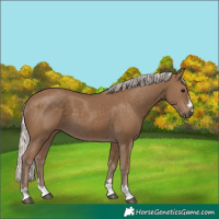 Horse Color:Chocolate Silver Smoky Black 