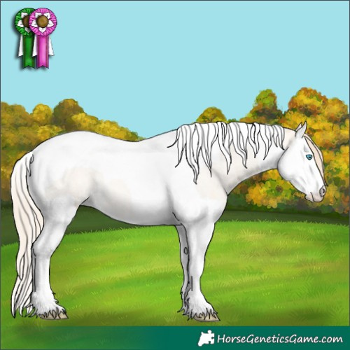 Horse Color:Perlino Roan Dun Splash Tobiano 