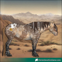 Horse Color:Buckskin Dun Snowflake Varnish  and Brown Dun Snowflake Varnish 