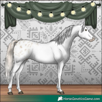 Horse Color:Chocolate Palomino Roan Dun Appaloosa  and Chocolate Palomino Roan Dun Splash Appaloosa 