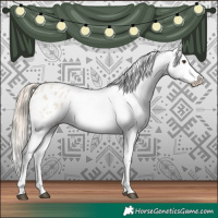 Horse Color:Chocolate Palomino Roan Dun Appaloosa  and Chocolate Palomino Roan Dun Splash Appaloosa 