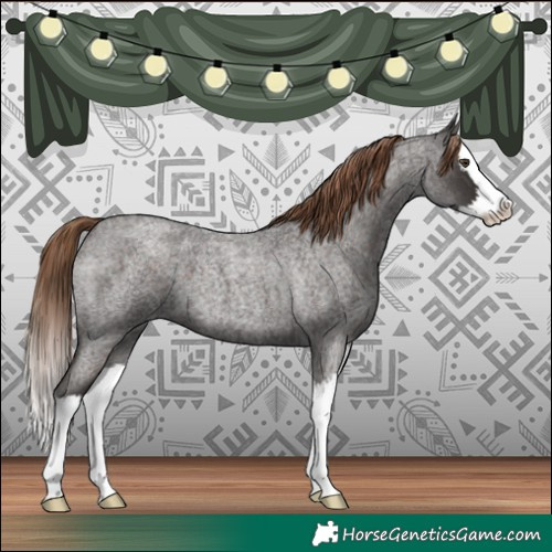 Horse Color:Liver Red Roan Splash