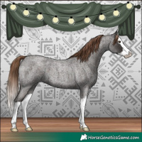 Horse Color:Liver Red Roan Splash