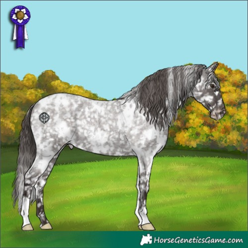 Horse Color:White Spotted Liver Red Roan Appaloosa 