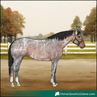 Horse Color:Brown Ice Roan 