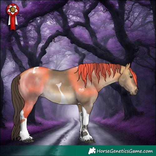 Horse Color:Buckskin Dun Tobiano 