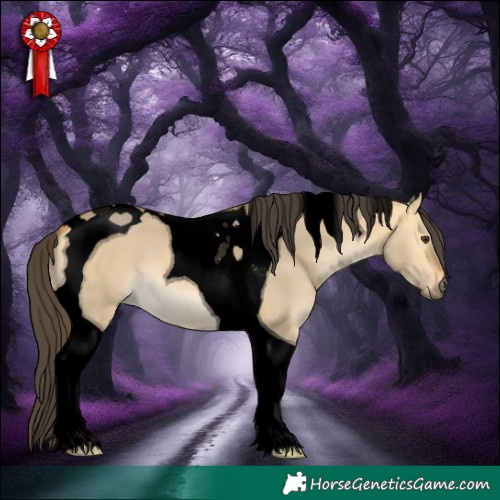 Horse Color:Void Buckskin Dun Tobiano 