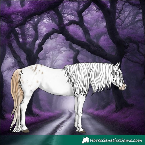 Horse Color:Buckskin Dun Snowflake Varnish  and Buckskin Dun Snowflake Varnish 