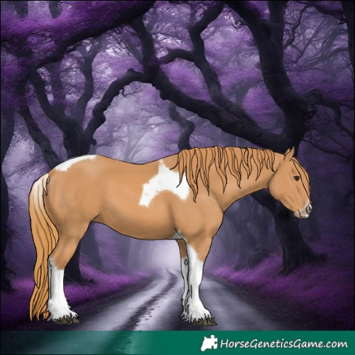 Horse Color:Chestnut Tobiano Frame 