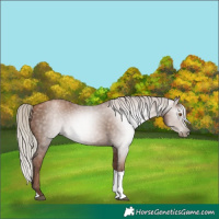 Horse Color:Gray Silver Black Pearl Tobiano 