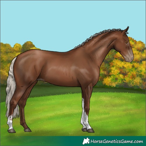Horse Color:Gray Silver Black Pearl Tobiano 