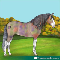 Horse Color:Painted Nacre Bay Dun Splash 