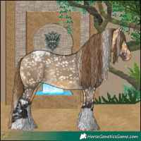 Horse Color:Buckskin Dun Blanket  and Buckskin Dun Snowcap 