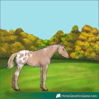 Horse Color:Chestnut Ice Mushroom Blanket 