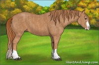 Horse Color:Chestnut Splash Frame  Brindle