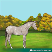 Horse Color:Classic Champagne Ice Mushroom 