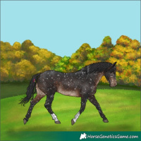 Horse Color:Brown Tobiano Snowflake Varnish 