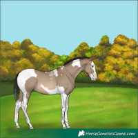 Horse Color:Gray Amber Champagne Dun Mushroom Splash Tobiano 