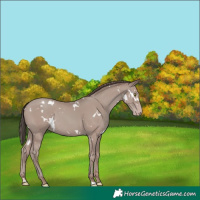 Horse Color:White Spotted Classic Champagne Mushroom 