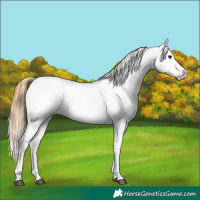 Horse Color:Buckskin Dun Snowflake Varnish  and Sable Cream Champagne Dun Snowflake Varnish 