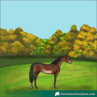 Horse Color:Brown 