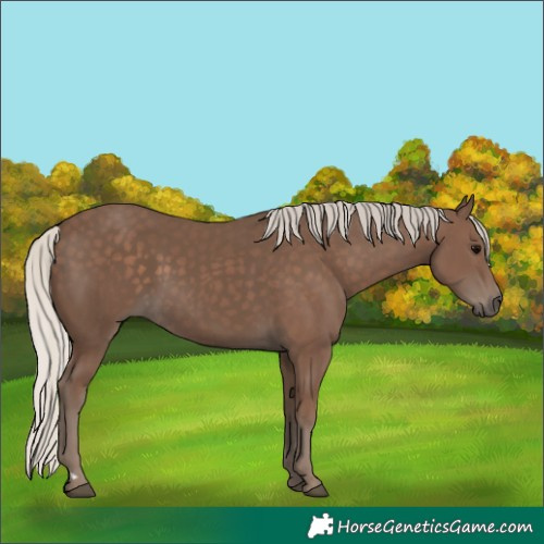 Horse Color:Silver Black 