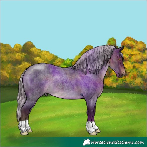 Horse Color:Silver Brown Roan 