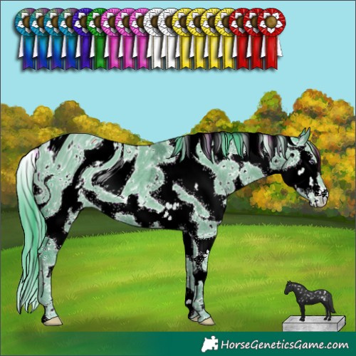 Horse Color:ERROR: UNKNOWN ANOMALY