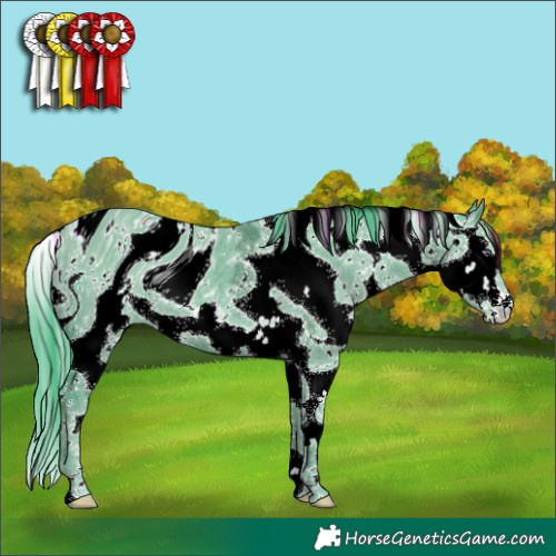 Horse Color:ERROR: UNKNOWN ANOMALY