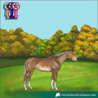 Horse Color:Silver Buckskin 
