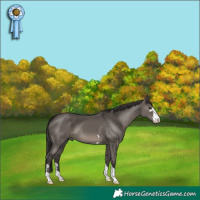 Horse Color:Smoky Grullo 