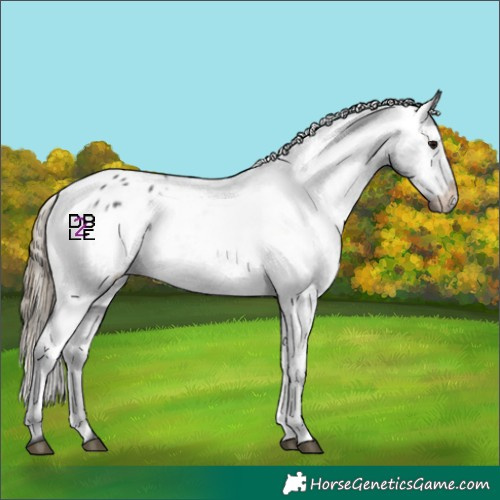 Horse Color:Smoky Black Varnish Rabicano