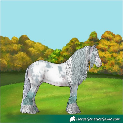 Horse Color:Watercolor White Spotted Silver Brown Ice Dun 