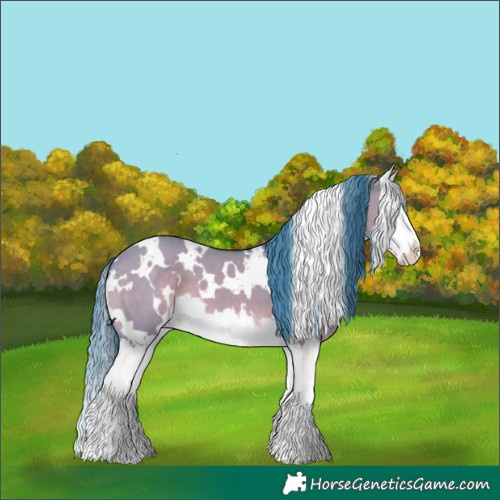 Horse Color:Watercolor White Spotted Liver Red Dun Splash 