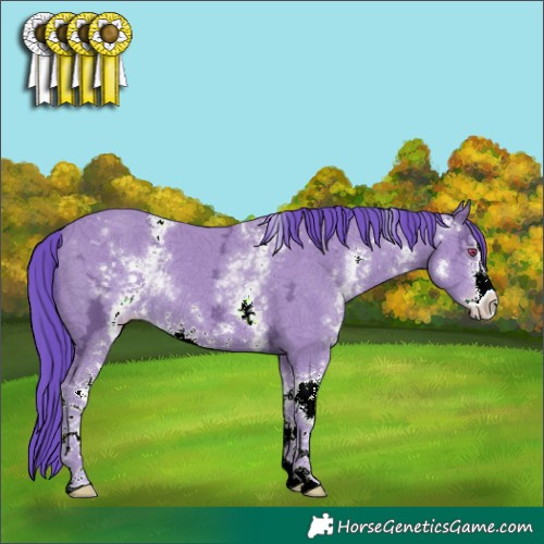 Horse Color:Watercolor White Spotted Classic Champagne Chinchilla Ice Sabino 